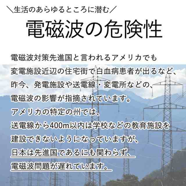 マルチフィールド 電磁波測定器 TM-190 日本語説明書付 50Hz/60Hz共用 磁場 電界 電磁波 電磁場 ガウス 測定 計測 高周波 低周波  メータの通販はau PAY マーケット ルナワールド au PAY マーケット－通販サイト