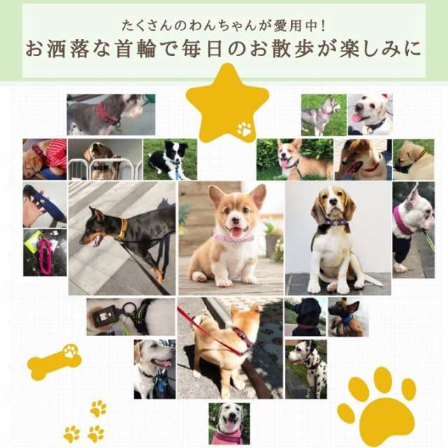 クリスタル付き首輪 Sサイズ 犬用首輪 ストーン付き首輪 小型犬用 中型