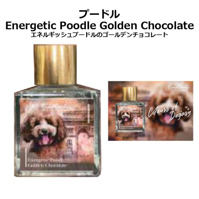 ピエールカルダン 犬のインク Colours of Dogasy pierre cardin 25ml