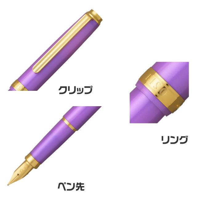 プラチナ万年筆 BISO ビソウ 万年筆 限定品 新製品 細字 中字 PLATINUM #28 #41 ミスティックパープル スパークルミントグリーン 美奏 高級品 高品質 数量限定 ギフト プレゼント 記念品 文房具 お祝い