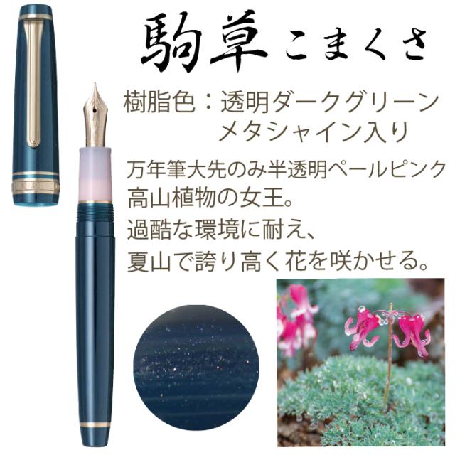 万年筆 shikiori 四季織シリーズ 山水 限定品 セーラー万年筆 新製品 四季 [送料無料] プレゼント 就職祝い プレゼント 高級 文房具 ギフト 誕生日 細字 中字 太字_2