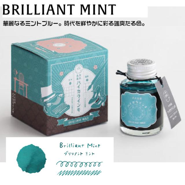 ギター 大正浪漫 ハイカラインキ 40ml 万年筆インキ 水性染料インキ [TRH-40ML] ボトルインク 寺西化学工業 大正ロマン レトロ モダン 大正レトロ ノスタルジック おしゃれ 万年筆用 文具女子 プレゼント 贈り物 ギフト 文具好き 文具マニア 万年筆