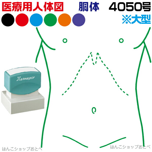 人体図 シャチハタ 医療用人体図 胴体 角型印 4050 医療 スタンプ | ［本州送料無料］カルテ 人体図 イラスト 用 スタンプ ゴム印 問診票 整体 病院 医院 整体院 検査 レントゲン スタンプ はんこ 印鑑 ハンコ 書類 先生 医者 40×50 浸透印 文具 事務用品