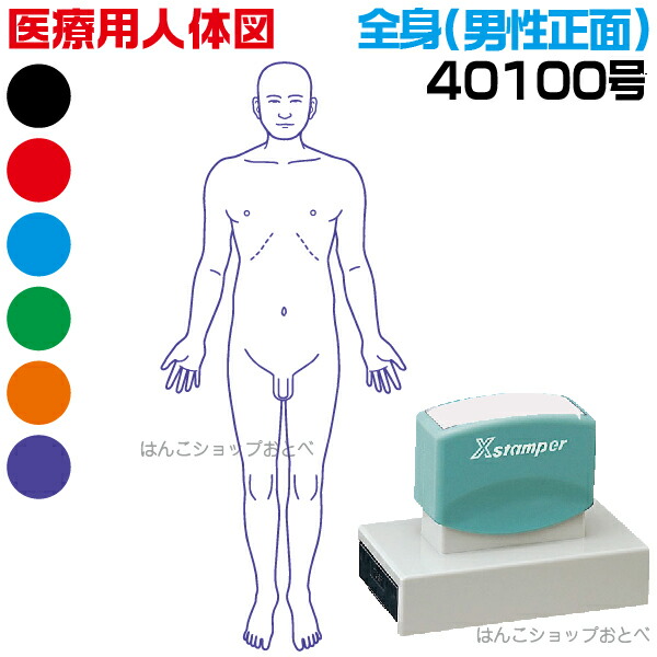 人体図 シャチハタ 医療用人体図 全身 男性正面 角型印 40100号 医療 スタンプ | ［本州送料無料］カルテ 人体図 イラスト 用 スタンプ ゴム印 問診票 整体 病院 医院 整体院 検査 レントゲン スタンプ はんこ 印鑑 ハンコ 書類 先生 医者 40×100 浸透印 文具 事務用品