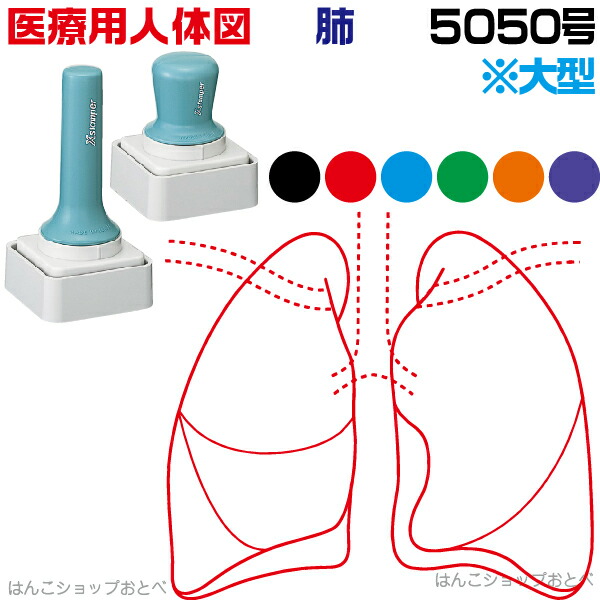 人体図 シャチハタ 医療用人体図 肺 特角50号 長柄 短柄 角型印 5050 医療 スタンプ | ［本州送料無料］カルテ 人体図 イラスト 用 スタンプ ゴム印 問診票 整体 病院 医院 整体院 検査 レントゲン スタンプ はんこ 印鑑 ハンコ 書類 先生 医者 50×50 浸透印 文具 事務用品