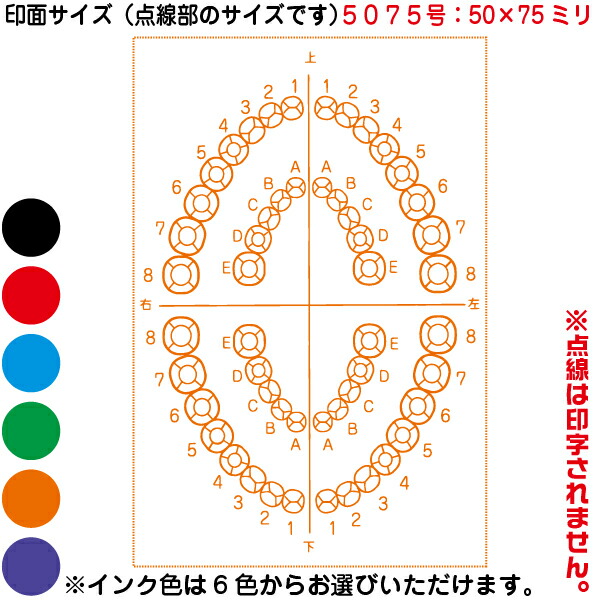 人体図 シャチハタ 医療用人体図 歯2 角型印 5075号 医療 スタンプ | ［本州送料無料］カルテ 人体図 イラスト 用 スタンプ ゴム印 問診票 整体 病院 医院 整体院 検査 レントゲン スタンプ はんこ 印鑑 ハンコ 書類 先生 医者 50×75 浸透印 文具 事務用品_1