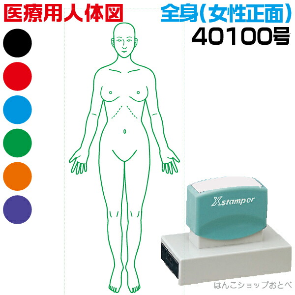人体図 シャチハタ 医療用人体図 全身 女性正面 角型印 40100号 医療 スタンプ | ［本州送料無料］カルテ 人体図 イラスト 用 スタンプ ゴム印 問診票 整体 病院 医院 整体院 検査 レントゲン スタンプ はんこ 印鑑 ハンコ 書類 先生 医者 40×100 浸透印 文具 事務用品