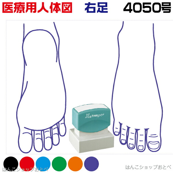人体図 シャチハタ 医療用人体図 右足 角型印 4050 医療 スタンプ | ［本州送料無料］カルテ 人体図 イラスト 用 スタンプ ゴム印 問診票 整体 病院 医院 整体院 検査 レントゲン スタンプ はんこ 印鑑 ハンコ 書類 先生 医者 40×50 浸透印 文具 事務用品