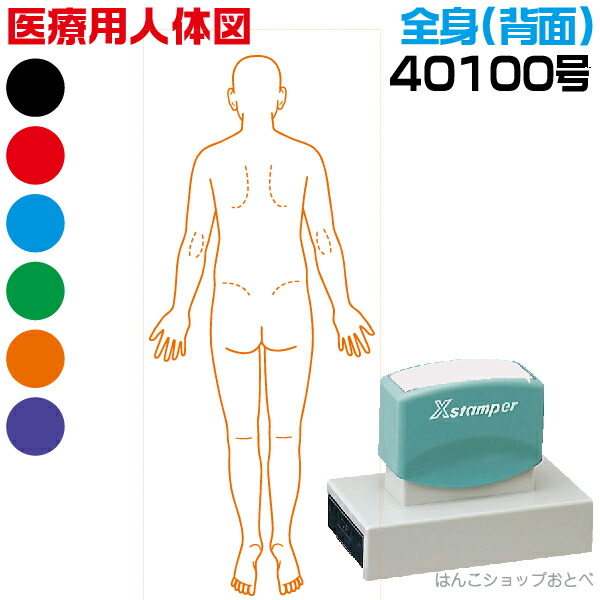 人体図 シャチハタ 医療用人体図 全身 背面 角型印 40100号 医療 スタンプ | ［本州送料無料］カルテ 人体図 イラスト 用 スタンプ ゴム印 問診票 整体 病院 医院 整体院 検査 レントゲン スタンプ はんこ 印鑑 ハンコ 書類 先生 医者 40×100 浸透印 文具 事務用品