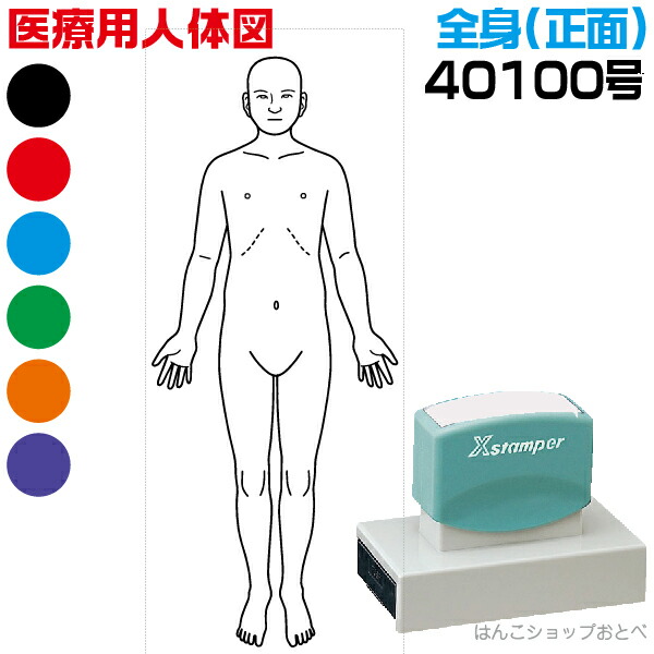 人体図 シャチハタ 医療用人体図 全身 正面 角型印 40100号 医療 スタンプ | ［本州送料無料］カルテ 人体図 イラスト 用 スタンプ ゴム印 問診票 整体 病院 医院 整体院 検査 レントゲン スタンプ はんこ 印鑑 ハンコ 書類 先生 医者 40×100 浸透印 文具 事務用品