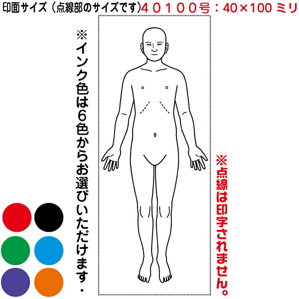 人体図 シャチハタ 医療用人体図 全身 正面 角型印 号 医療 スタンプ 本州送料無料 カルテ 人体図 イラスト 用 スタンプ ゴムの通販はau Pay マーケット はんこショップおとべ