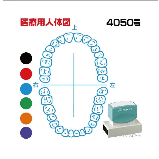 人体図 シャチハタ 医療用人体図 歯1 角型印 4050号 医療 スタンプ | ［本州送料無料］カルテ 人体図 イラスト 用 スタンプ ゴム印 問診票 整体 病院 医院 整体院 検査 レントゲン スタンプ はんこ 印鑑 ハンコ 書類 先生 医者 40×50 浸透印 文具 事務用品