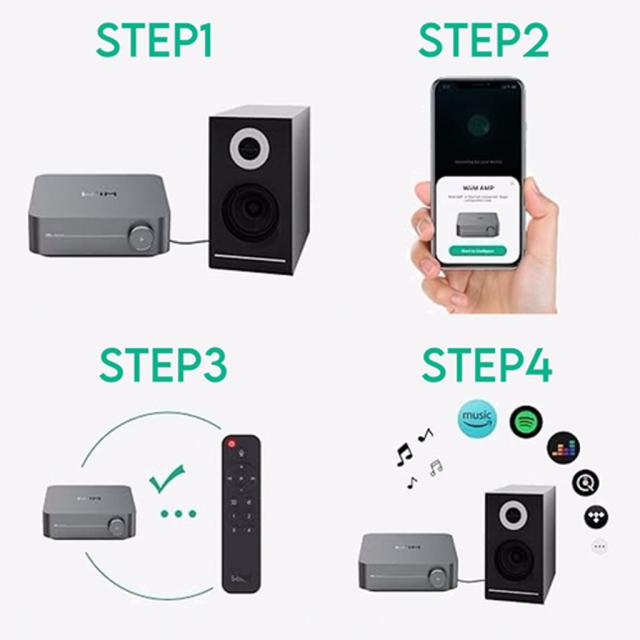 WiiM Amp [シルバー] WiiM [ウィーム] スペースストリーマーアンプ　※13時までのご注文は即日発送！（休業日除く）_9