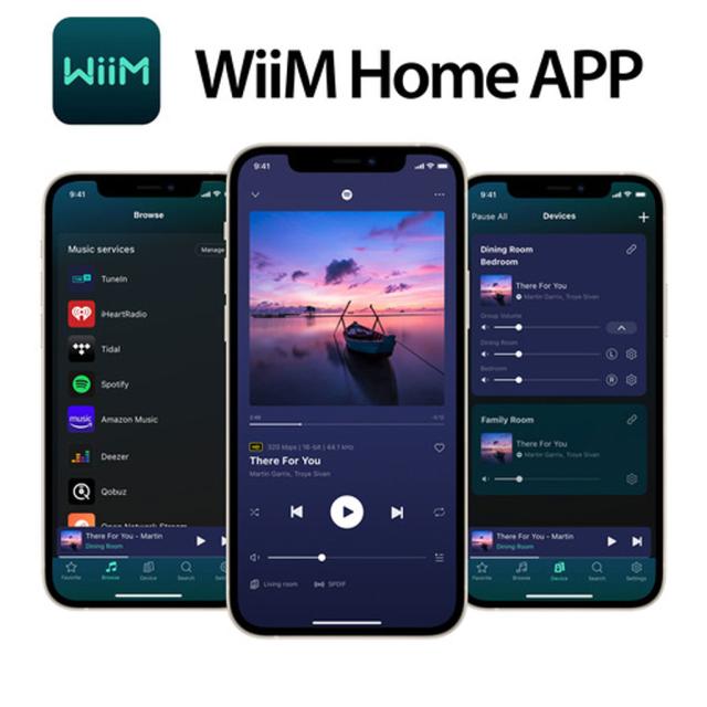 WiiM Amp [シルバー] WiiM [ウィーム] スペースストリーマーアンプ　※13時までのご注文は即日発送！（休業日除く）_13