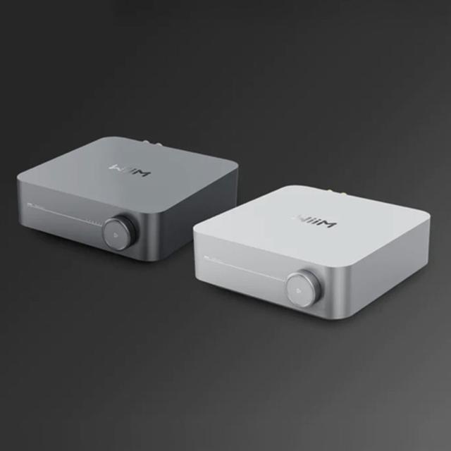 WiiM Amp [シルバー] WiiM [ウィーム] スペースストリーマーアンプ　※13時までのご注文は即日発送！（休業日除く）_4