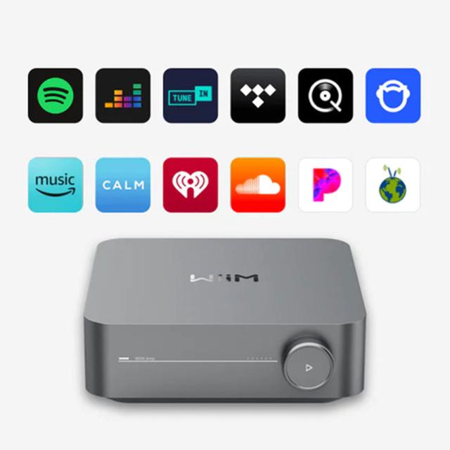 WiiM Amp [シルバー] WiiM [ウィーム] スペースストリーマーアンプ　※13時までのご注文は即日発送！（休業日除く）_7
