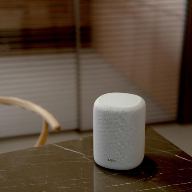 WiiM Sound Lite White [WIM-WSOUNDLITE-W] WiiM [ウィーム] ワイヤレススピーカー ※13時までのご注文は即日発送！（休業日除く）_6