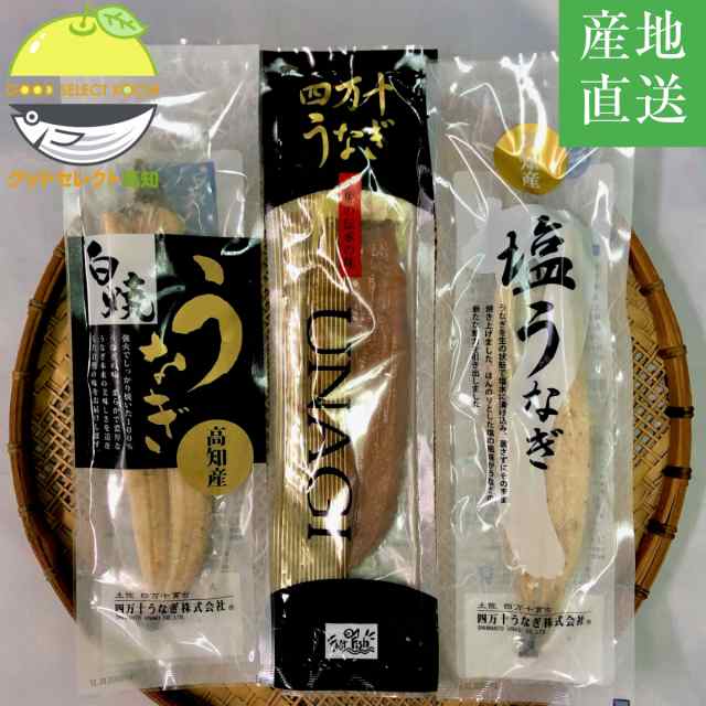 ふるさと納税 高知県 四万十町 四万十 うなぎ 蒲焼き セット 220g