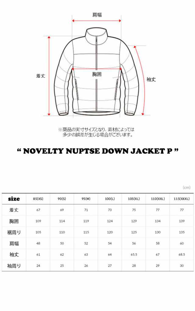 即納カラー有/国内配送 ノースフェイス THE NORTH FACE NOVELTY NUPTSE ...