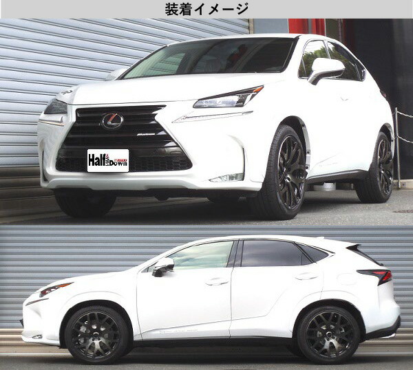 [RS-R_Ti2000 HALF DOWN]AGZ15 レクサス NX200t_Iパッケージ(4WD_2000 TB_H26/7〜H29/8)用車検対応ダウンサス[T532THD]の通販は