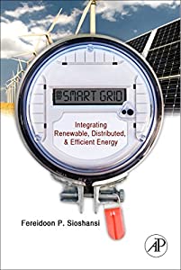 Smart Grid: Integrating Renewable  Distributed and Efficient Energy(中古品)