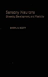 Sensory Neurons: Diversity  Development  and Plasticity(中古品)