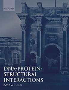 Dna-Protein: Structural Interactions (Frontiers in Molecular Biology)(中古品)の通販は