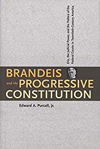 Brandeis and the Progressive Constitution: Erie the Judicial Power and the Politics of the Federal Courts in Twentieth