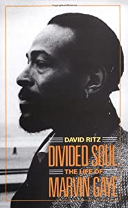 Divided Soul: The Life Of Marvin Gaye(中古品)