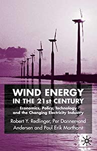 Wind Energy in the 21st Century: Economics  Policy  Technology and the Changing Electricity Industry(中古品)