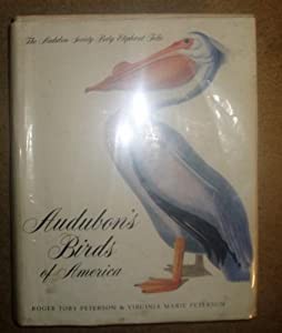 Audubons Birds Of America: Baby El(中古品)