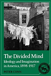 The Divided Mind: Ideology and Imagination in America  1898-1917 (Cambridge Studies in American Literature and Culture