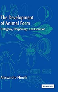 The Development of Animal Form: Ontogeny  Morphology  and Evolution(中古品)