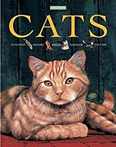 Cats(中古品)