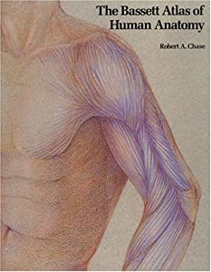 Bassett Atlas of Human Anatomy  The(中古品)