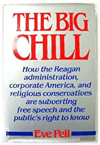 Big Chill: How the Reagan Administration  Corporate America  and Religious Conservatives Are Subverting Free Speech and の通販は