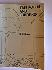 Tree Roots and Buildings(中古品) 46,462円