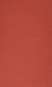 Behind the Silicon Curtain: The Seductions of Work インチ a Lonely Era(中古品)