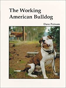 The Working American Bulldog(中古品)