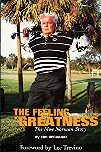 The Feeling of Greatness(中古品)
