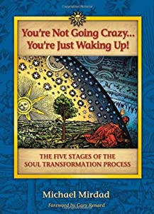 You're Not Going Crazy Youre Just Waking Up!: The Five Stages of Soul Transformation Process(中古品)