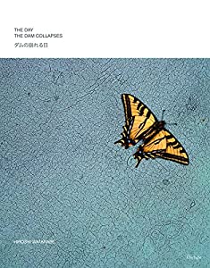 The Day the Dam Collapses(中古品)