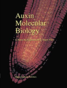 Auxin Molecular Biology(中古品)