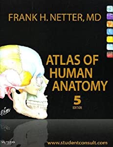 Atlas of Human Anatomy: with Student Consult Access  5e (Netter Basic Science)(中古品)の通販は 13,644円