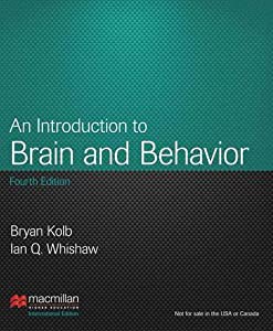 An Introduction to Brain & Behavior(中古品)