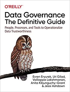 Data Governance: The Definitive Guide: People  Processes  and Tools to Operationalize Data Trustworthiness(中古品)