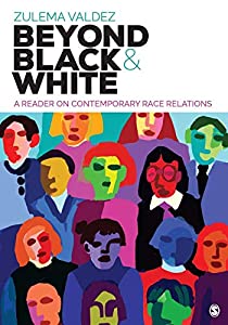 Beyond Black and White: A Reader on Contemporary Race Relations(中古品)の通販は
