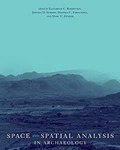 Space And Spatial Analysis in Archaeology(中古品)