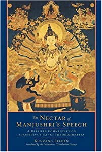 The Nectar of Manjushri's Speech: A Detailed Commentary on Shantideva's Way of the Bodhisattva(中古品)