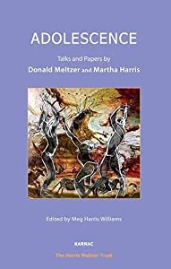 Adolescence: Talks and Papers (Harris Meltzer Trust)(中古品)